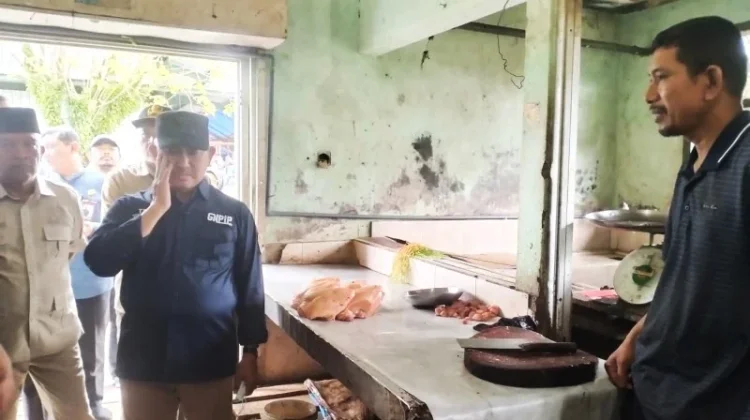"Banjir" Ayam Beku,  Harga Ayam Lokal Naik