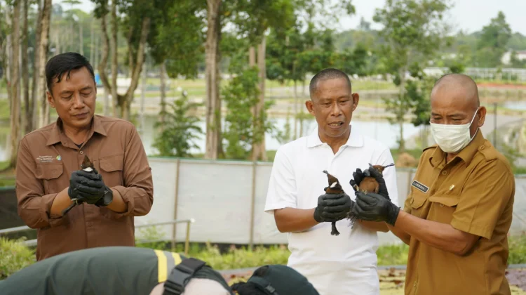 46 Burung Dilepasliarkan, Bupati Bulungan Tegaskan Stop Perburuan Liar