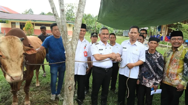 Dua Peternak Dibina untuk Siapkan Sapi Bantuan Presiden