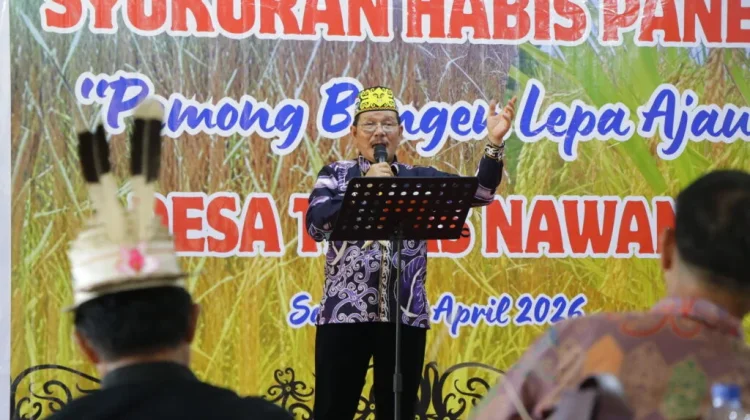 Panen Raya Desa Teras Nawang, Bukti Ketahanan Pangan Kaltara