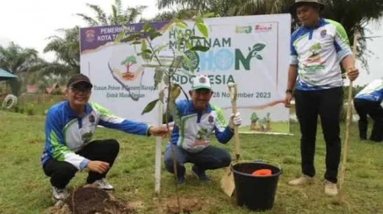 Kesadaran Masyarakat Tarakan Jaga Tegakan Pohon Meningkat