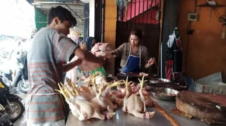 Pelaku Usaha Pastikan Daging Ayam Potong Bebas Flu Burung