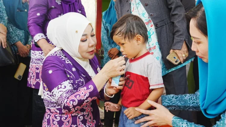 Dorong Zero Stunting, PKK Kaltara Tekankan Peran Aktif Posyandu di Nunukan