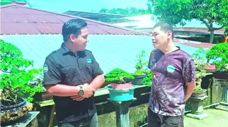 Manfaatkan Lahan Sempit, Hasilkan Cuan lewat Bisnis Bonsai