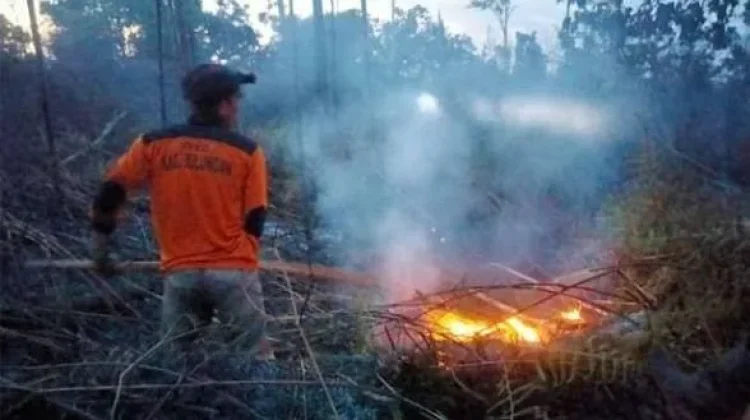 Brigdal Karhutla Berhasil Tangani 7 Kebakaran Lahan