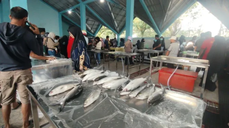 Pemprov Kaltara Hadirkan Pasar Ikan Higienis