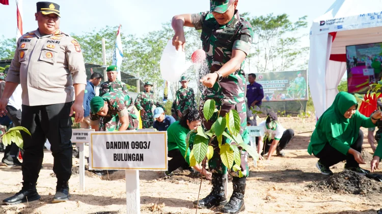 Eks Tambang Disulap Jadi Hijau, TNI Tanam Ribuan Pohon di Tengkapak