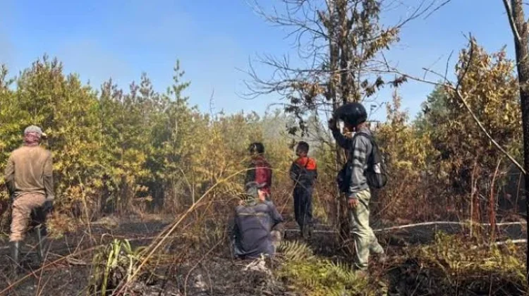 Malinau Jadi Daerah Rawan Karhutla