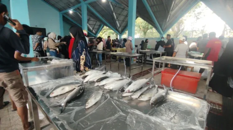 Bernilai Tinggi, 70 Persen Ikan Tangkapan Nelayan Kaltara di Ekspor