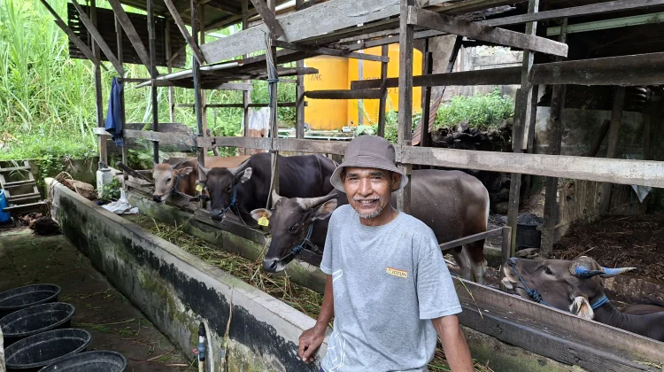Peternak Keluhkan Lambatnya Respons Penanganan Medis