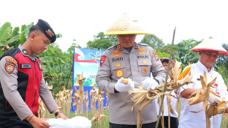 Kapolda Kaltara Pimpin Panen Raya Jagung Serentak di Tarakan