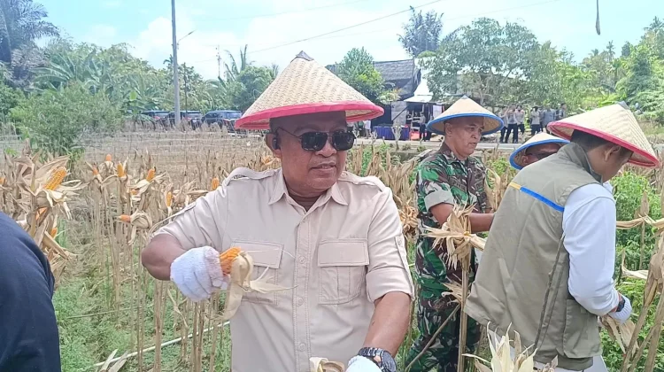 DPRD Tarakan Apresiasi Panen Jagung Kuartal II Kepolisian