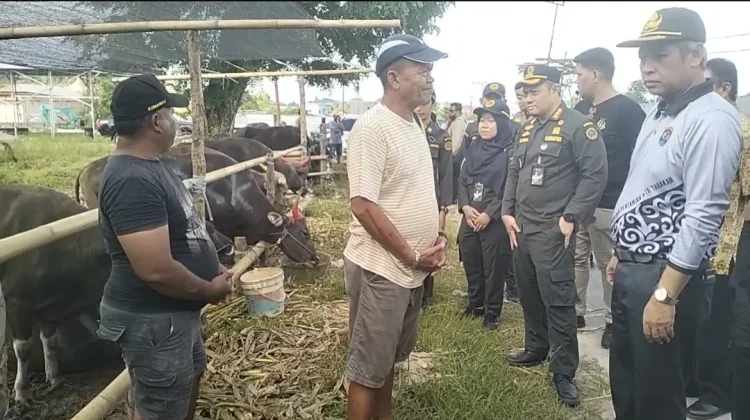 Pemkot Sidak Hewan Kurban, Pastikan Bebas PMK dan Legal