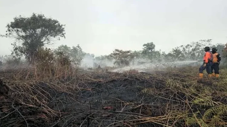 BMKG Pantau Adanya Titik Panas di Kaltara