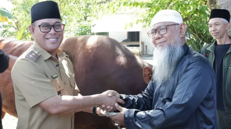 Pemkot Salurkan 8 Sapi, 1 Ekor Bantuan Presiden