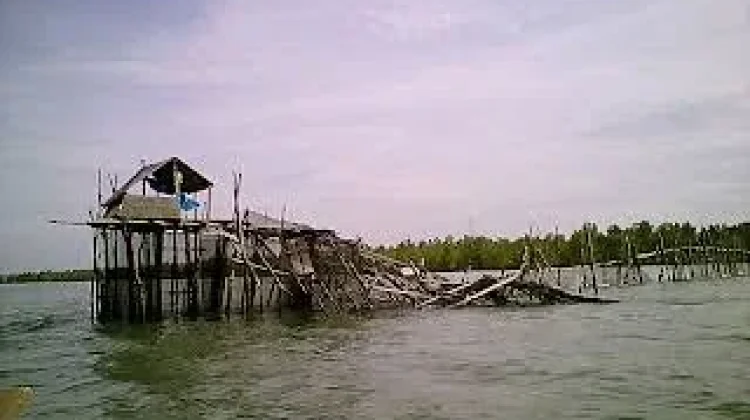 KPH Tarakan Pantau Penebangan Pohon Jenis Tertentu