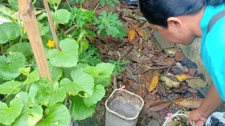 Intensitas Hujan Tinggi, Dinkes Tarakan Ingatkan Waspada DBD