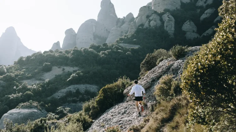Trail Run, Tantangan Olahraga Fisik dan Mental di Alam Bebas
