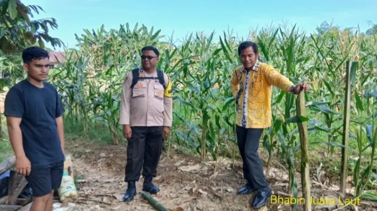 Patroli Dialogis, Polres Dukung Program Ketahanan Pangan
