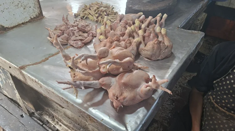 Pembeli Sepi, Harga Ayam Stabil di Tarakan