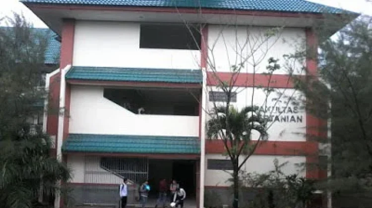 Pasca Aman Dari Tsunami Warga Pantai Amal Kembali ke Rumah