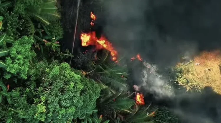 Kebakaran Lahan di Kampung Empat, Warga Sempat Panik