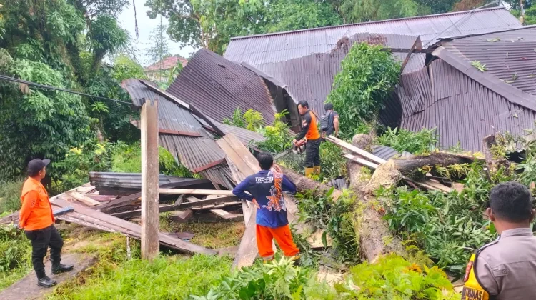 Cuaca Ekstrem, Sebabkan Pohon Tumbang dan Dua Titik Longsor