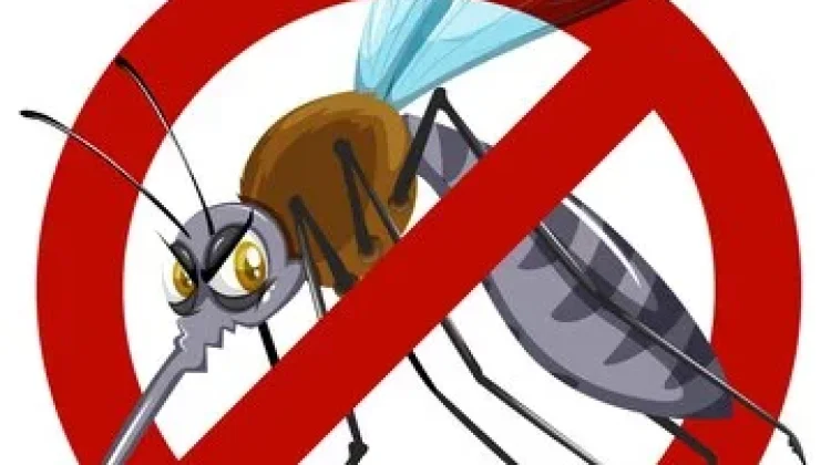 DBD Masih Mengancam Bulungan, 15 Kasus Tercatat hingga Awal Juli