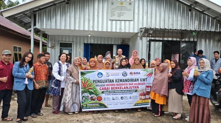 Tim PKM Bima Faperta UBT Dukung Kemandirian KWT Agribisnis Cabai di Tarakan