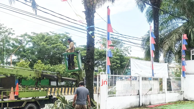 Cegah Pohon Tumbang, DLH Tarakan Rutin Melakukan Perawatan dan Penebangan Pohon