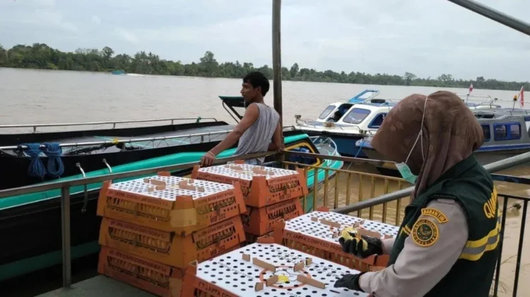 Ukur Kualitas Layanan, BKHIT Kaltara Jalani Penilaian Mandiri IPP