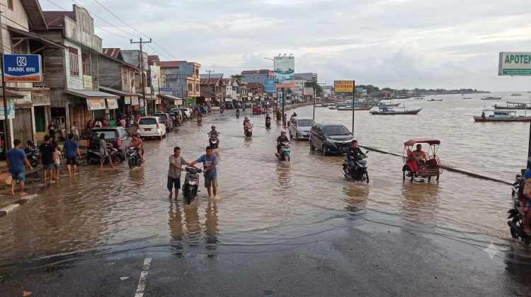 BMKG Tarakan Ungkap Kenaikan Muka Air Laut Signifikan