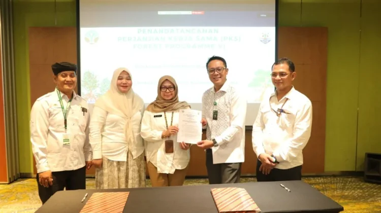 Raih Hibah Internasional Rp19,99 Miliar, Kaltara Siap Restorasi Mangrove 2026–2028