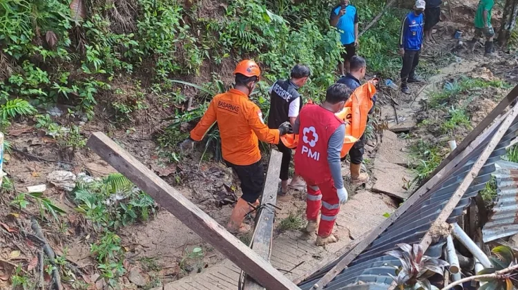 Waspada Tanah Longsor dan Pohon Tumbang Disaat Hujan