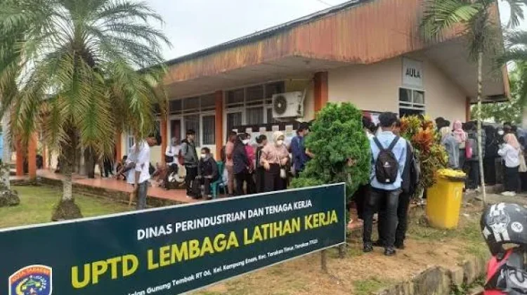 Cari Kerja di Job Fair, Jangan Lupa Buat Kartu Kuning