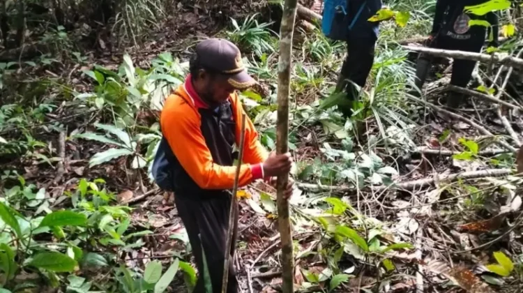 Masayarakat Desa Atap Gotong Royong Buka Akses Jalan Sejauh 11,5 Kilometer