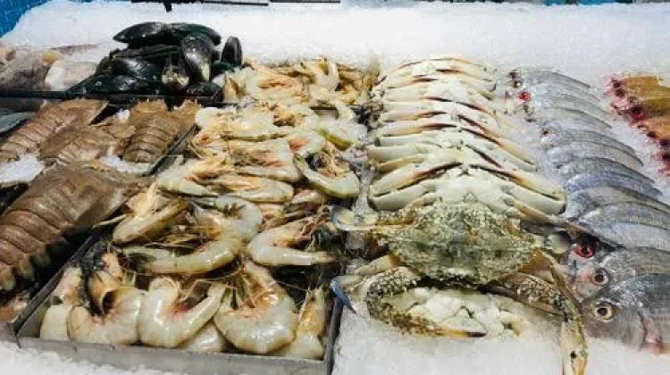 Gandeng BRIN, Bappeda Litbang Tarakan Lakukan Riset Ekspor Udang dan Kepiting