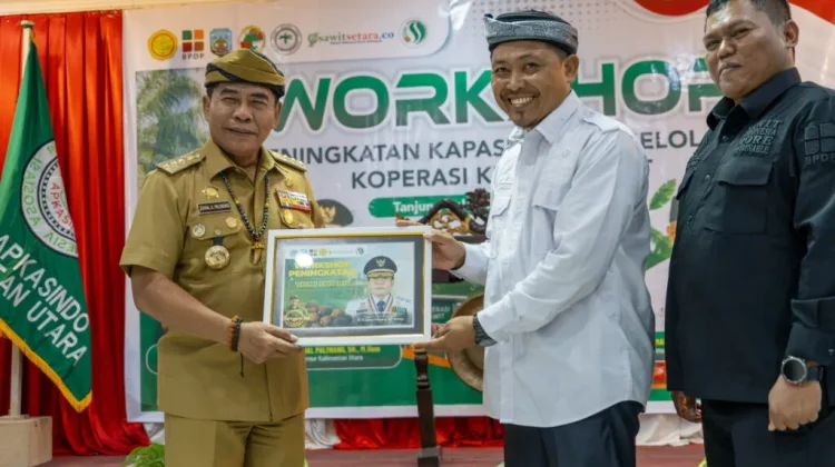 Kaltara Dorong Koperasi Sawit Rakyat Lebih Berdaya Saing