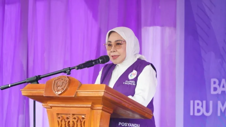 Jaga Generasi sejak Dini, Kaltara Perkuat Perhatian Ibu dan Anak