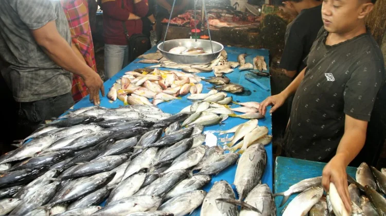Komuditas Ikan di Kaltara Aman Dikonsumsi