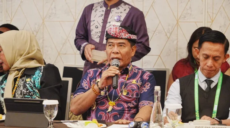 Pemprov Tawarkan Investasi Strategis kepada 14 Duta Besar