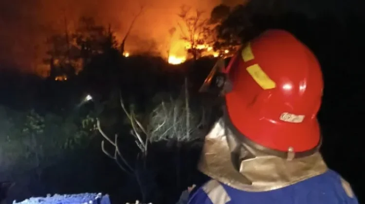 Karhutla Hanguskan Lahan di Tarakan, Agustus 4 Kali Terjadi