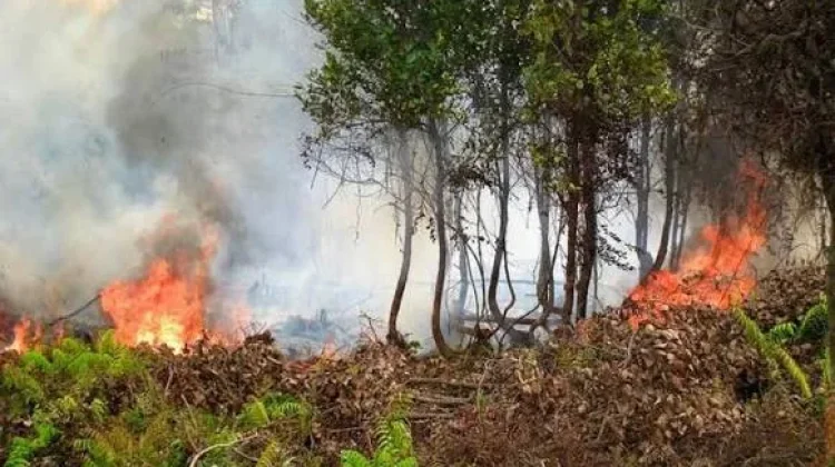 Curah Hujan Minim, Tarakan Diselimuti Cuaca Panas
