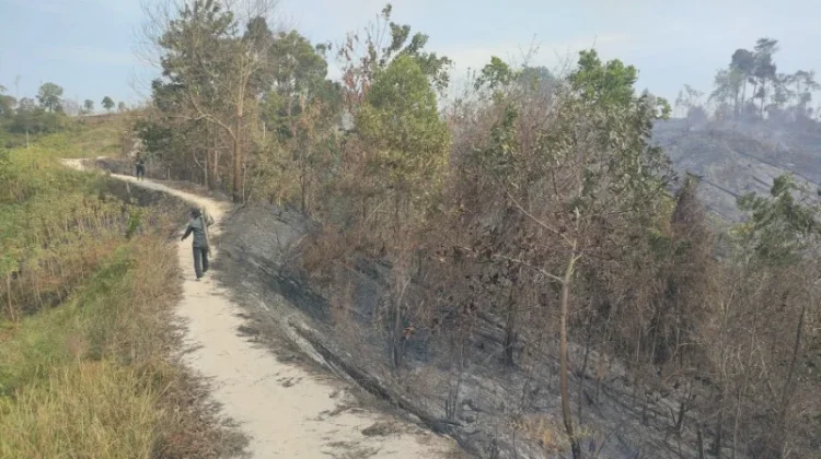 Waspada Karhutla, Juwata dan Pantai Amal Rawan jika 5 Hari tanpa Hujan