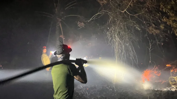 Malam Membara, Kebakaran Lahan Melanda Sejumlah Titik di Tarakan
