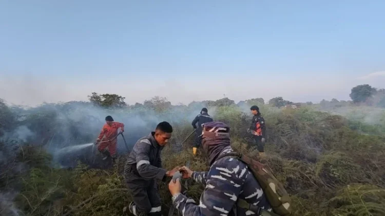 Kebakaran Lahan di Tarakan Semakin Meluas