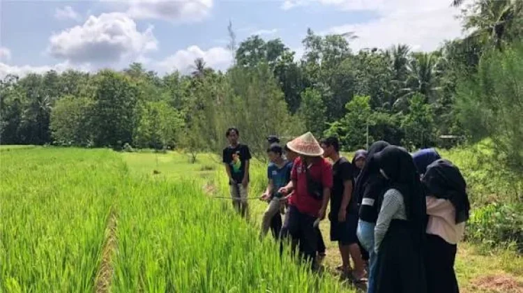 Generasi Muda Didorong Kelola Sektor Pertanian