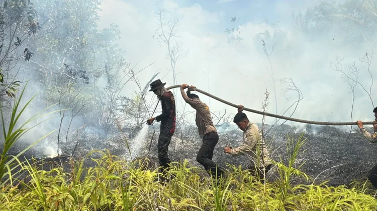 Polda Kaltara Kerahkan 65 Personel Padamkan Karhutla 11,5 Hektare
