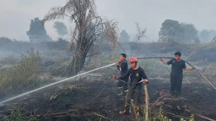 Dishut Kaltara Ingatkan Masyarakat Bahaya Karhutla