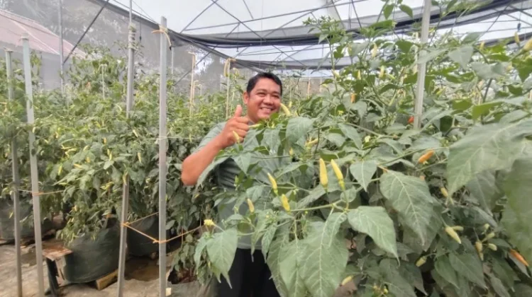 Dari Cangkul ke Green House Pintar: Langkah Lukas Lahirkan Pertanian Digital